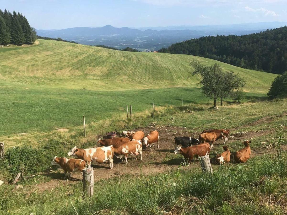 Apartments Planina Pod Sumikom Planina pod Sumnikom Экстерьер фото