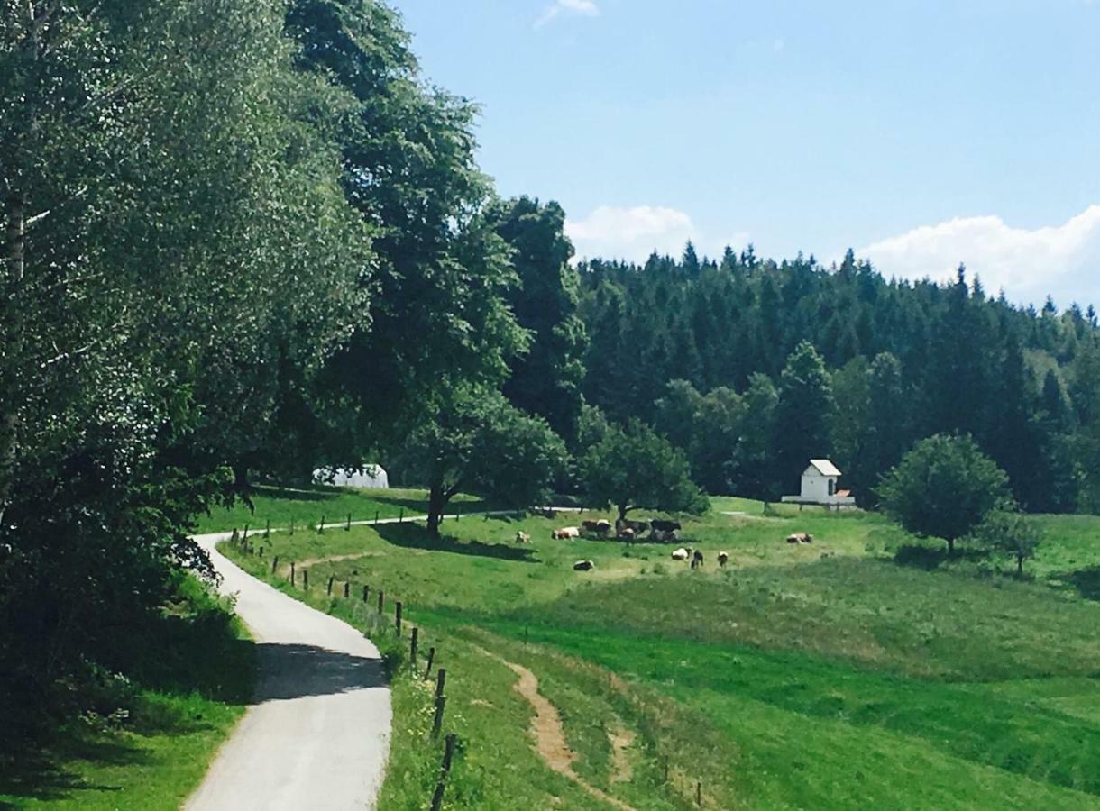 Apartments Planina Pod Sumikom Planina pod Sumnikom Экстерьер фото