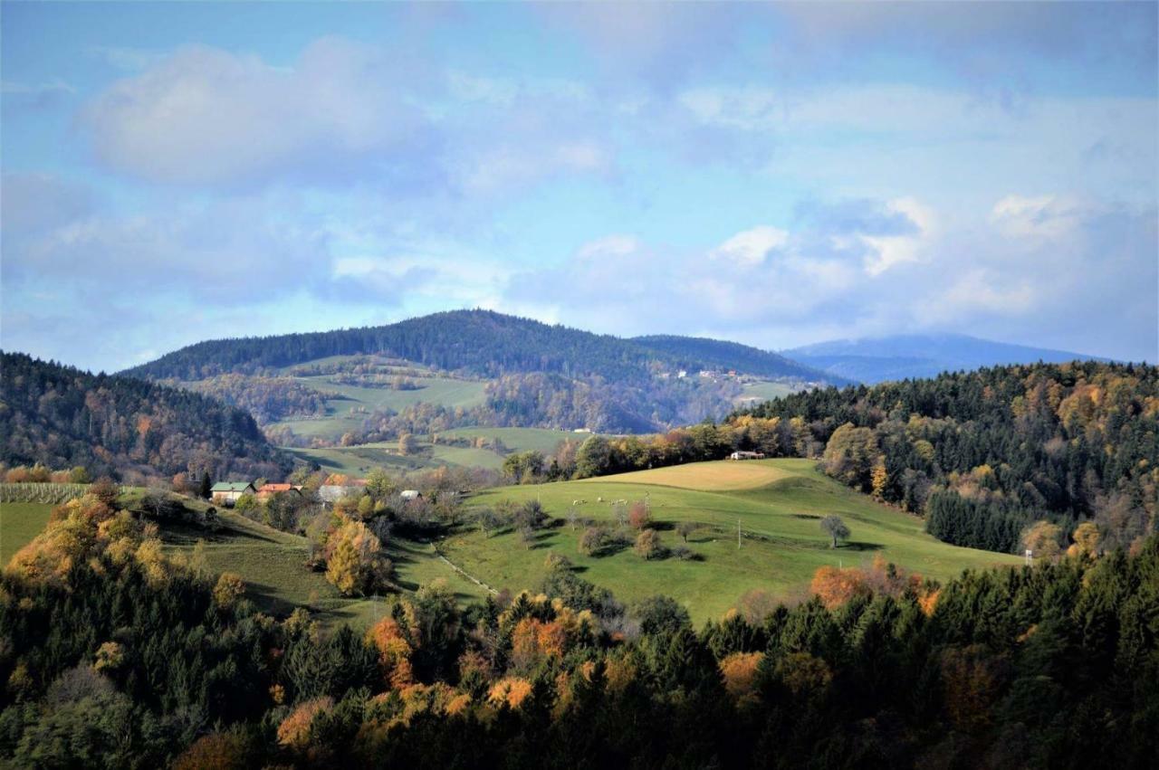 Apartments Planina Pod Sumikom Planina pod Sumnikom Экстерьер фото